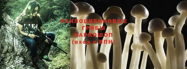 метадон Семёнов
